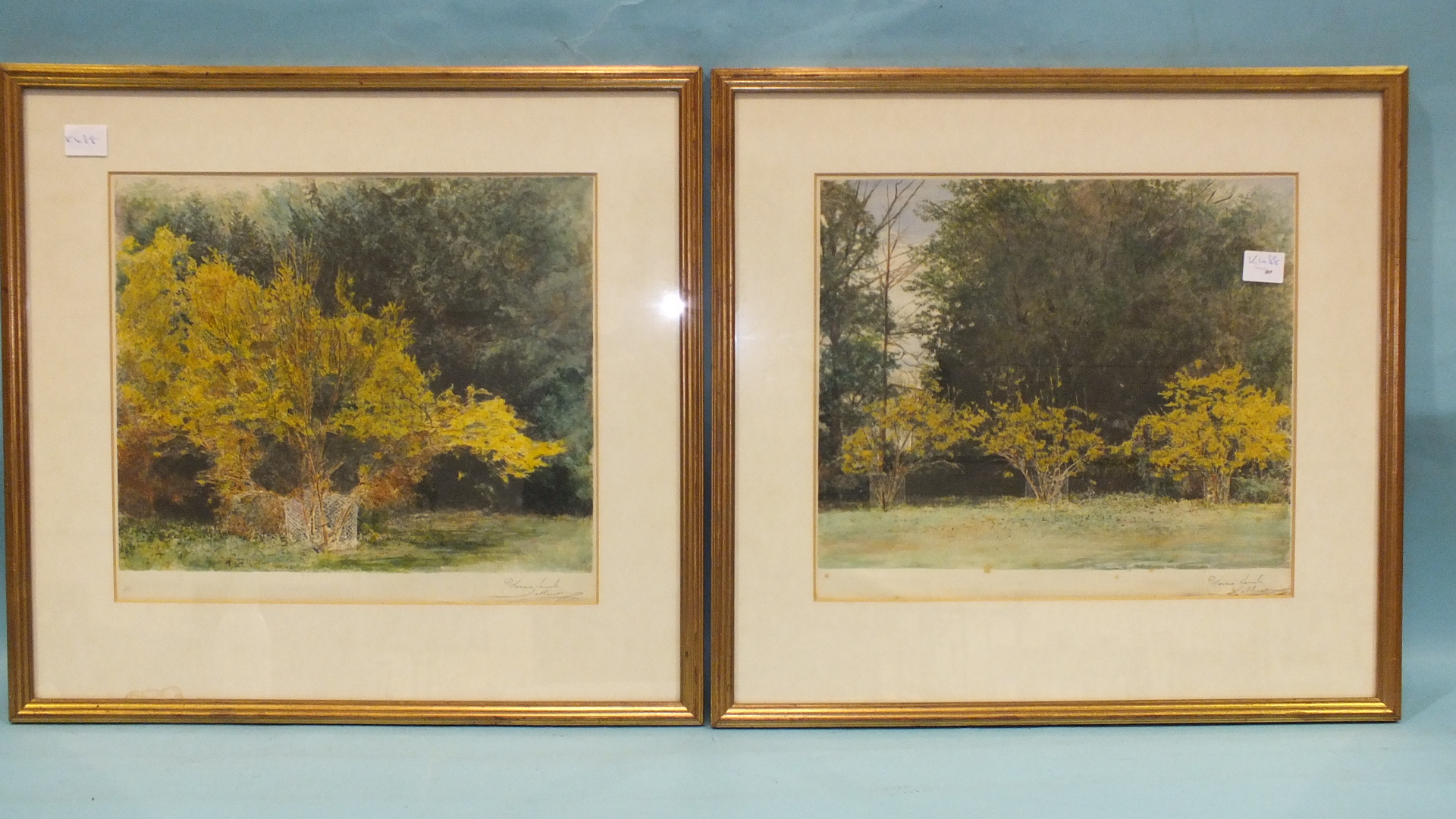 A set of four watercolour studies of woodland, shrubs and trees, indistinctly-signed in the - Image 2 of 3