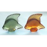 A modern Lalique frosted green glass model of an angel fish and a similar amber glass fish, both