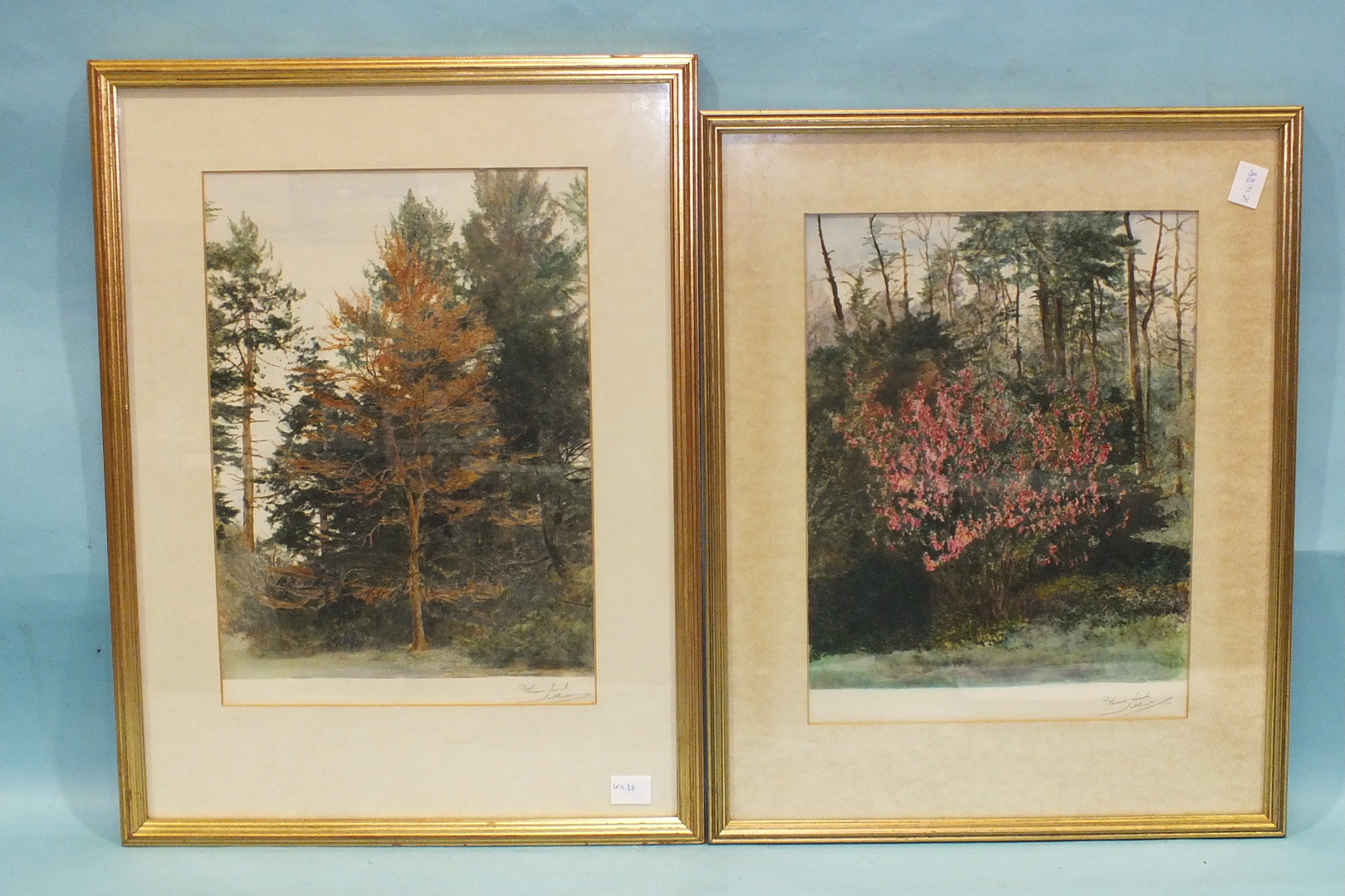 A set of four watercolour studies of woodland, shrubs and trees, indistinctly-signed in the