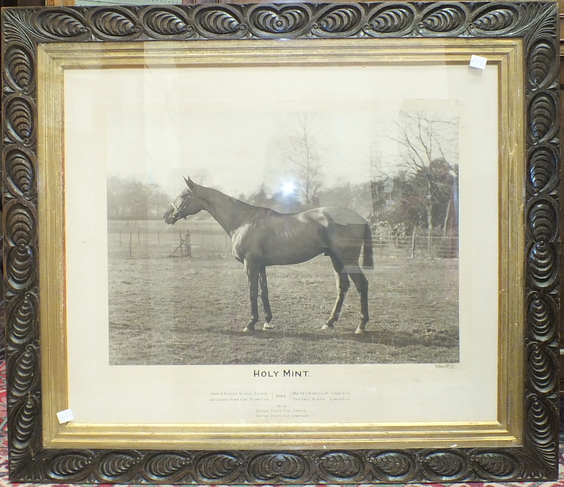 A photograph of the race horse 'Holy Mint', 59 x 73cm, inscribed with a list of races won in 1904/