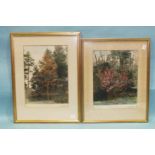 A set of four watercolour studies of woodland, shrubs and trees, indistinctly-signed in the