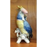 Karl Ens, a large porcelain model of a Cockatoo, factory mark to base, 34.5cm high.