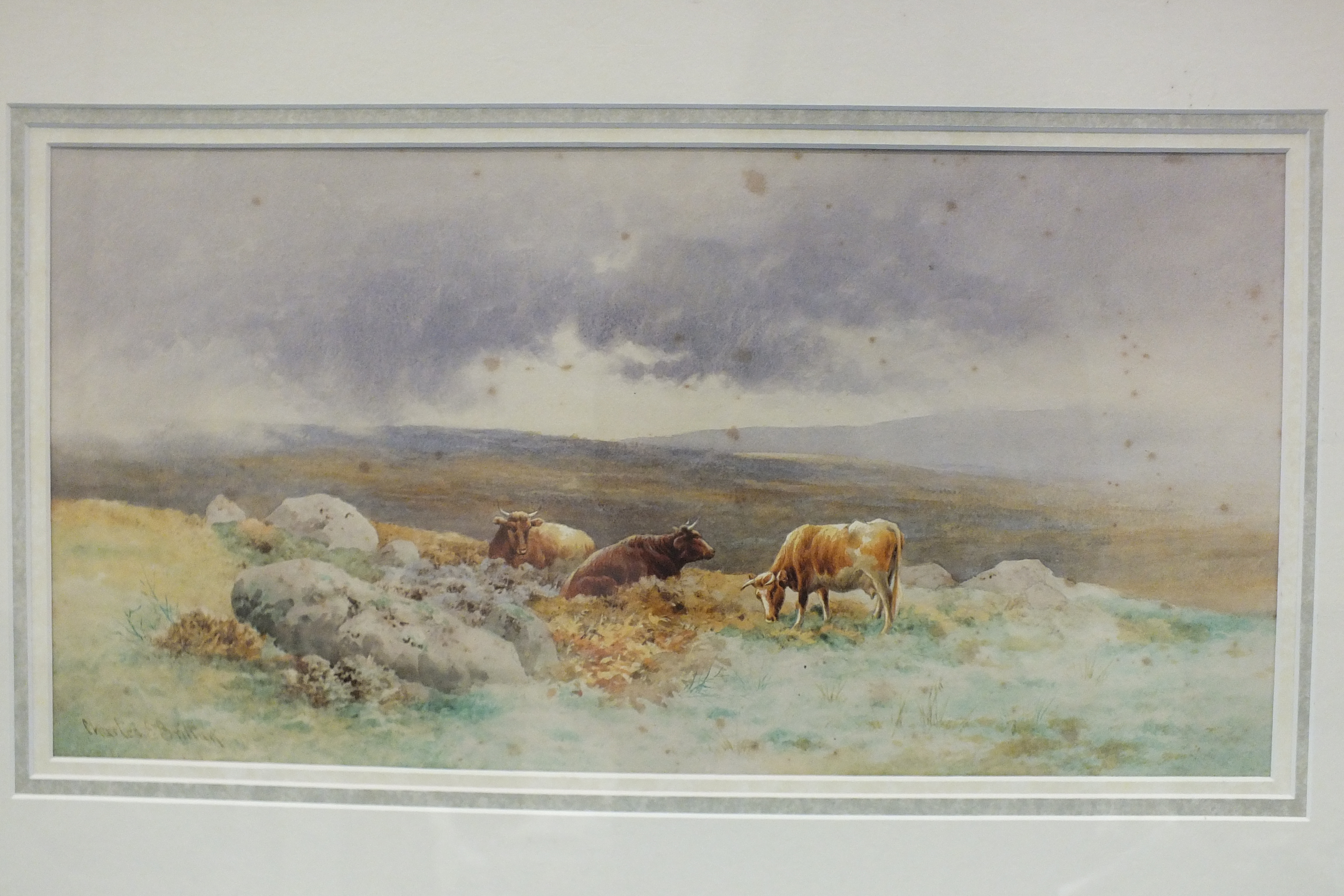 Charles Edward Brittan (1870-1949) NEAR BRIDESTOW, DEVON, CATTLE GRAZING ON MOORLAND HILLSIDE