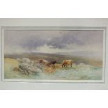 Charles Edward Brittan (1870-1949) NEAR BRIDESTOW, DEVON, CATTLE GRAZING ON MOORLAND HILLSIDE