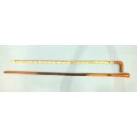 A walking cane of vertebrae with carved wood handle, 86cm long and a lignum walking cane, 94cm long,