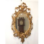 A Victorian gilt gesso girandole mirror, the foliate pierced frame surmounted by a phoenix and