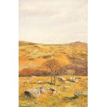 Rosalind Pierson, three contemporary miniature watercolours: 'Yar Tor' 6.5 x 8cm, 'Crow Tor &