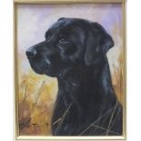 John Trickett, 'Head and shoulders portrait of a black Labrador', signed oil on board, 24 x 19cm.