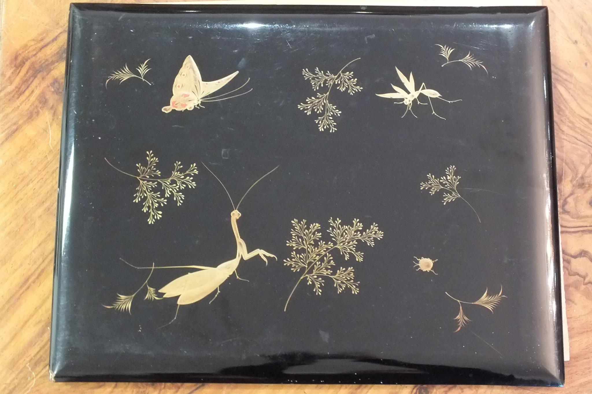 An early-20th century Japanese lacquered shibayama photograph album, containing fifty hand-tinted - Image 2 of 54