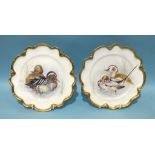 A pair of bone china plates with gilt wavy rims painted with 'Long Tailed Duck' and 'Garganey', 23cm