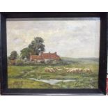 D Fisher SHEEP AND A FARMSTEAD Oil on canvas, signed, 32 x 42cm and another, unsigned oil on board