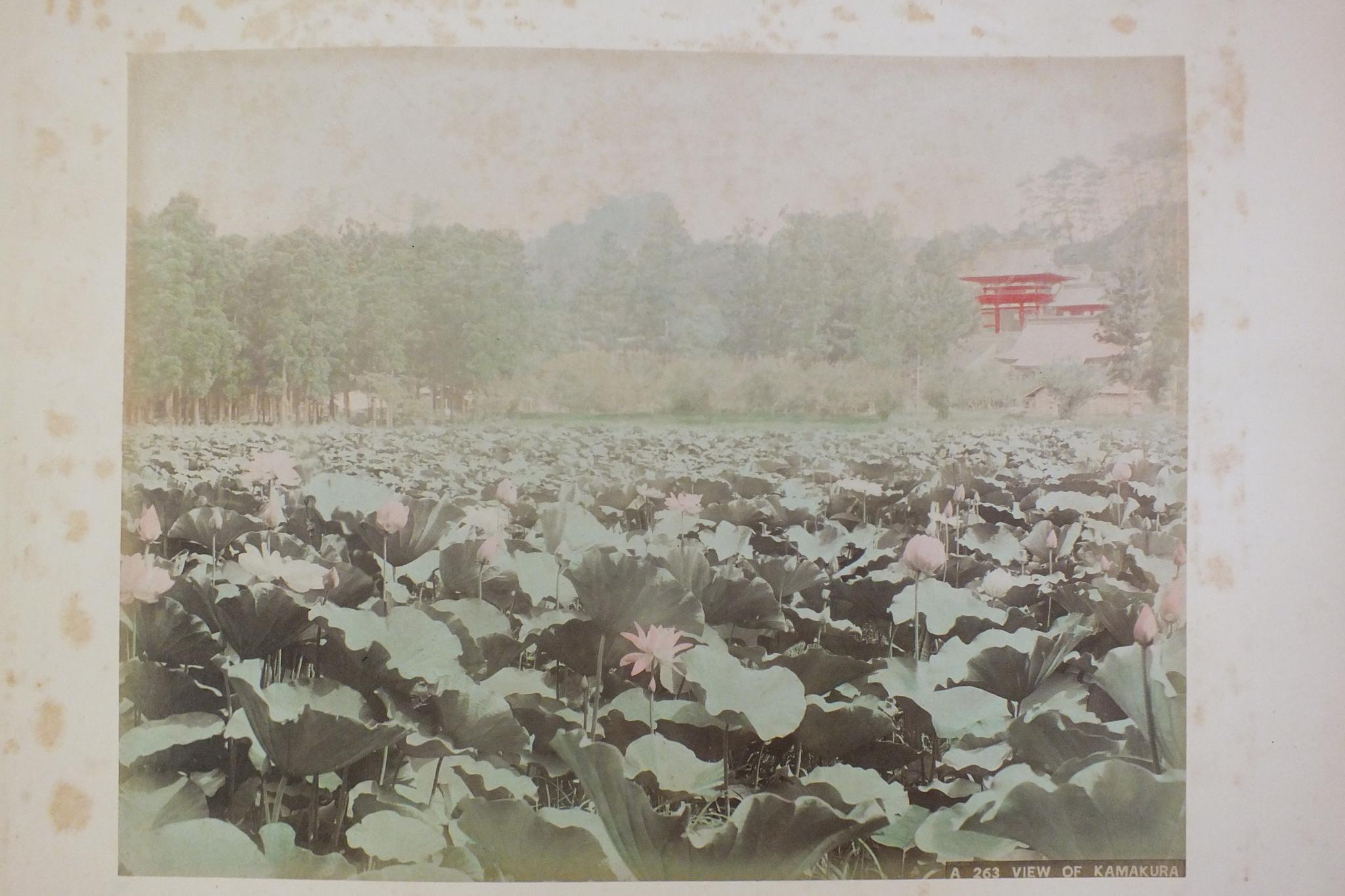 An early-20th century Japanese lacquered shibayama photograph album, containing fifty hand-tinted - Image 20 of 54