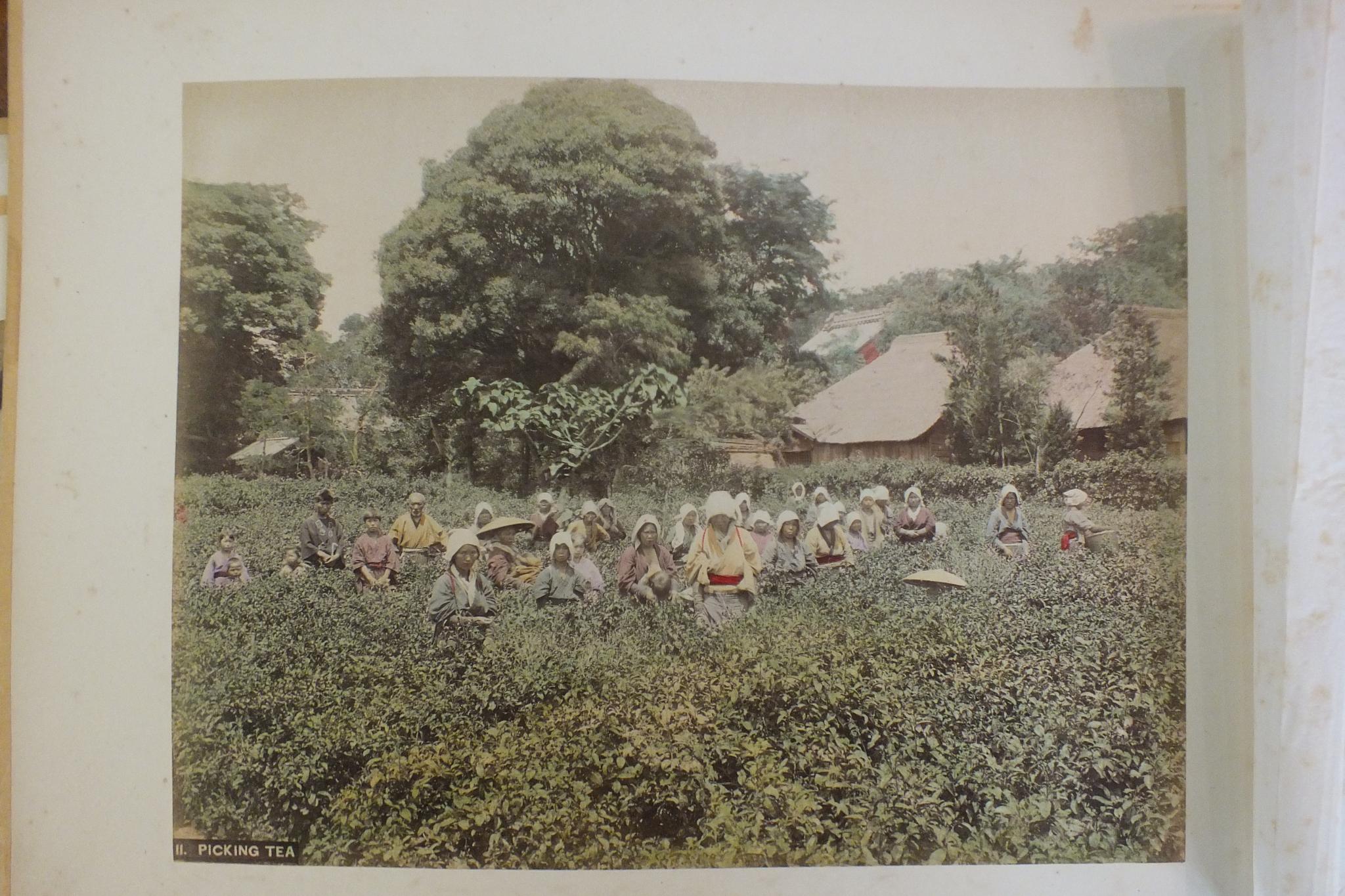 An early-20th century Japanese lacquered shibayama photograph album, containing fifty hand-tinted - Image 25 of 54