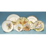 A collection of Dunheved bone china plates painted with birds, including 'Robins', 'Nuthatch', 'Barn