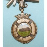 A silver curb link Albert watch chain, a silver fob medallion with enamelled rabbit or hare and a
