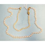 A necklace of uniformly-sized cultured pearls, with 18ct yellow gold pearl-set clasp, 42cm and a