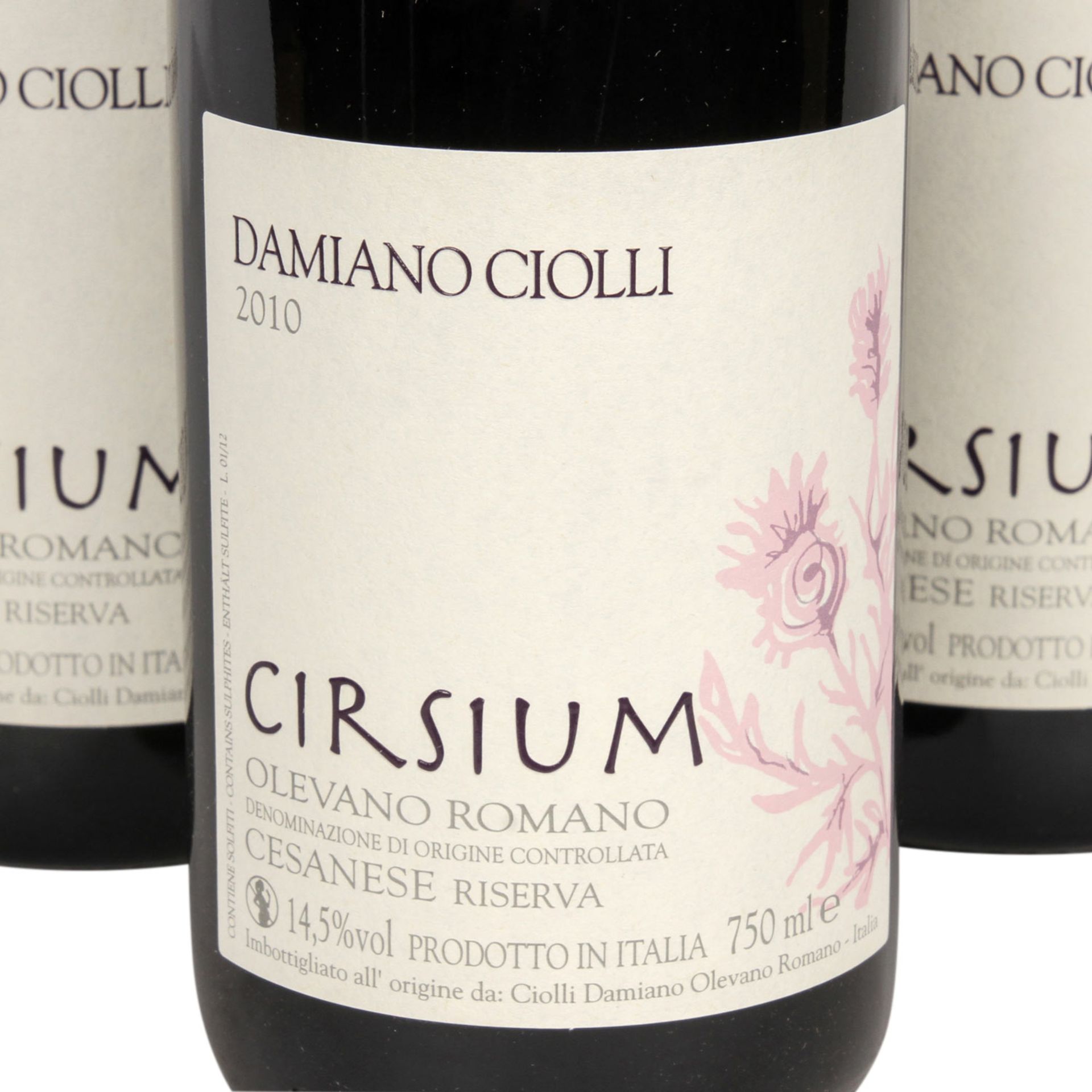 DAMIANO CIOLLO 6 Flaschen CIRSIUM, 2010Lazio, Italien, Rebsorte: Cesanes, Riserva, 750ml, 14,5% - Image 3 of 3