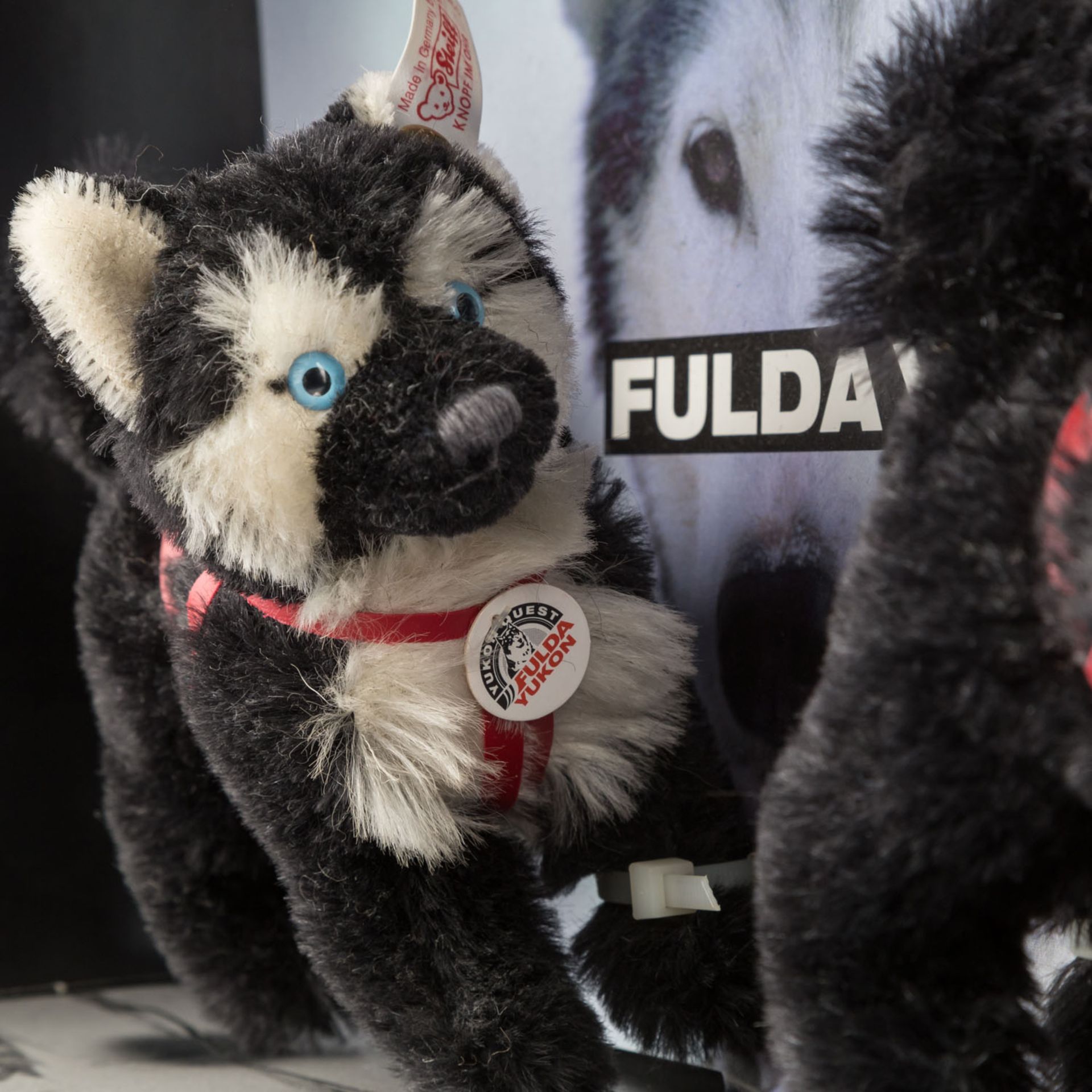 STEIFF drei Fulda-Husky-Sets, 1998-2000,in Zusammenarbeit m. Fa. Fulda, limit. Aufl. v. 3000 St., - Bild 9 aus 10