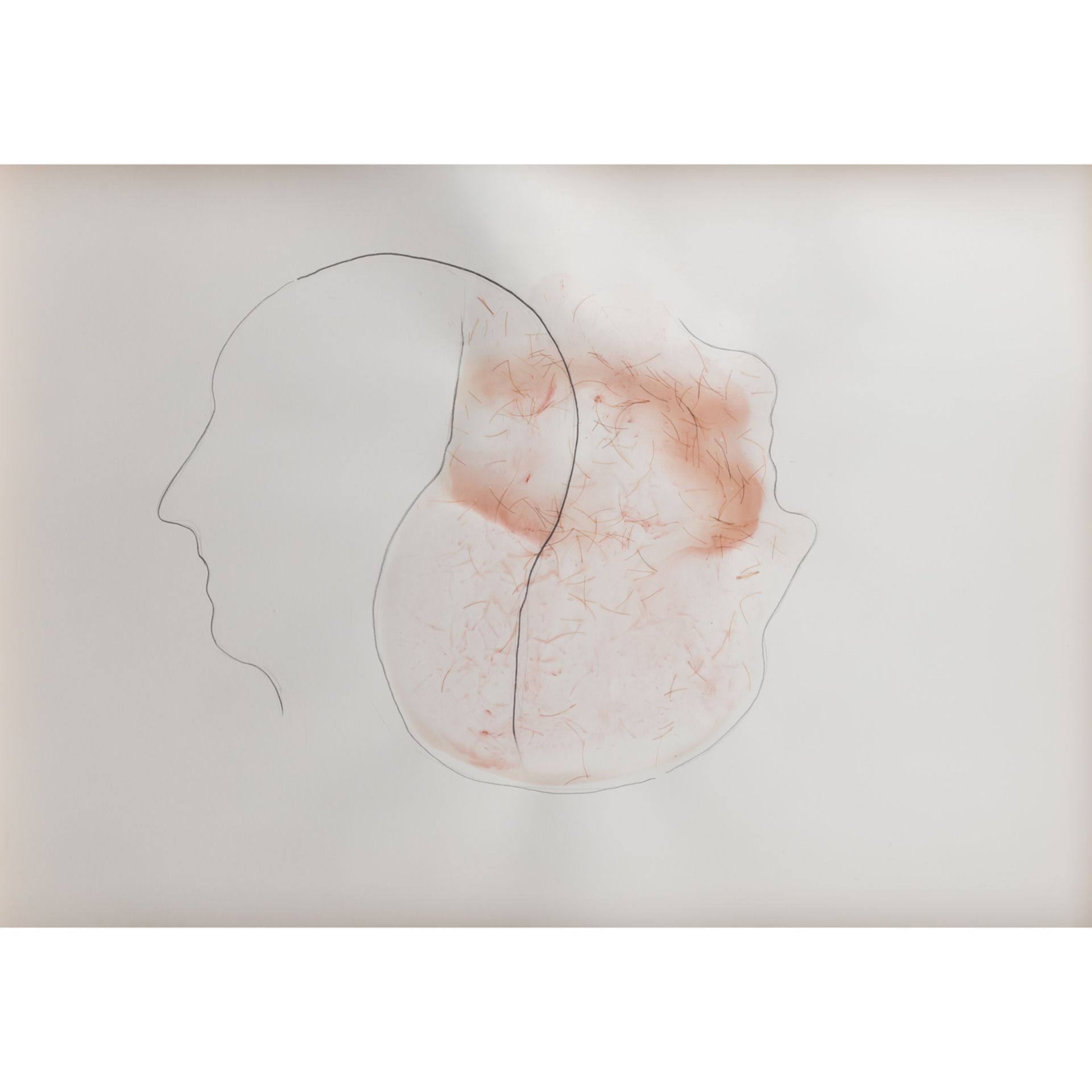 HABERPOINTNER, ALFRED (geb. 1966, österreichischer Künstler), "Zwei Köpfe",im Profil ineinander