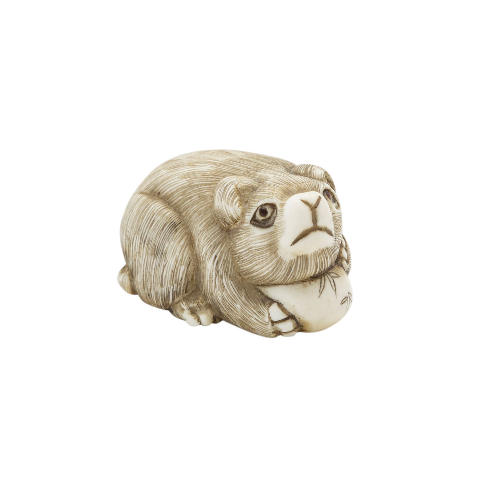 Netsuke eines Welpen aus Elfenbein. JAPAN, Meiji-Zeit (1868-1912).Der kleine Hund stützt seinen Kopf