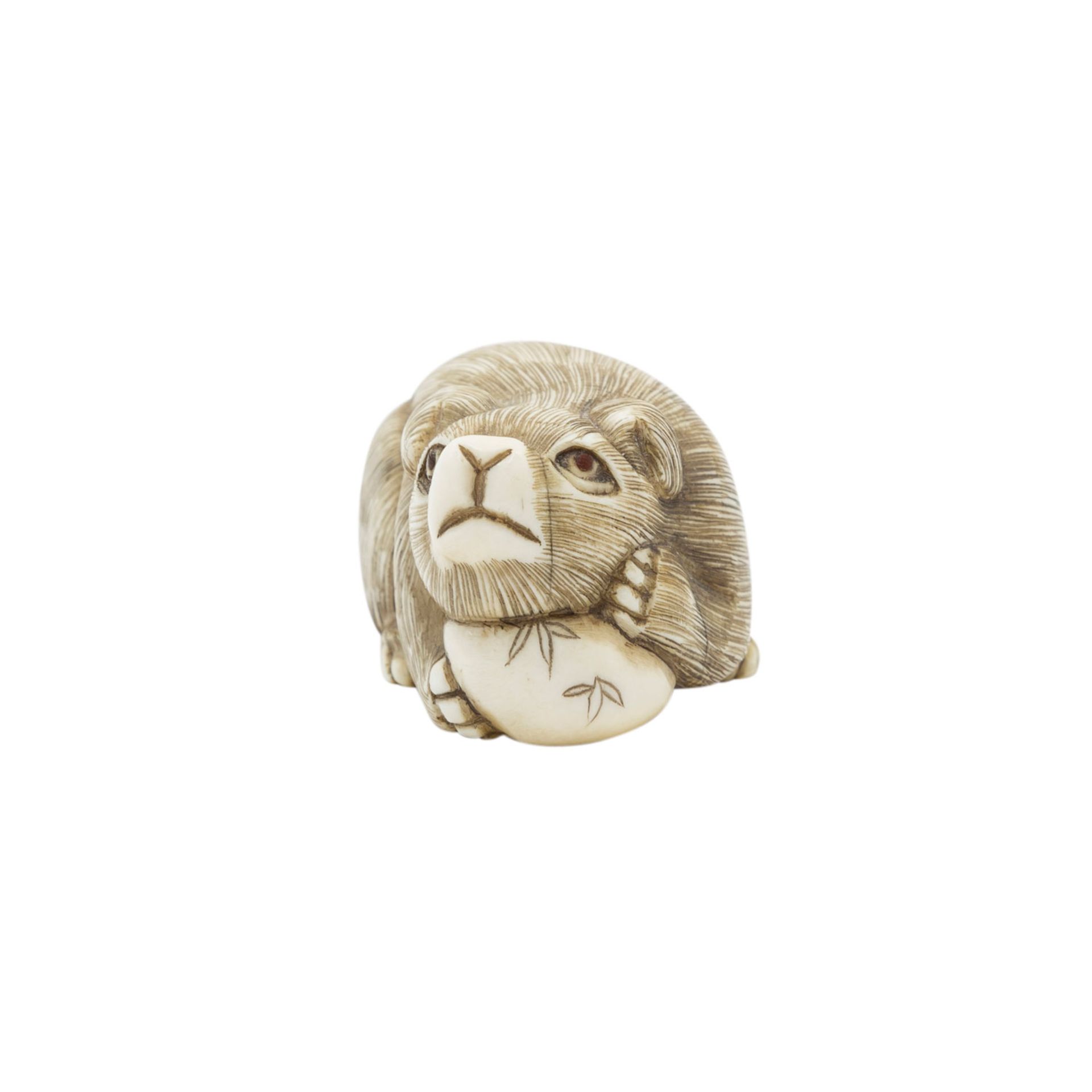 Netsuke eines Welpen aus Elfenbein. JAPAN, Meiji-Zeit (1868-1912).Der kleine Hund stützt seinen Kopf - Image 2 of 5