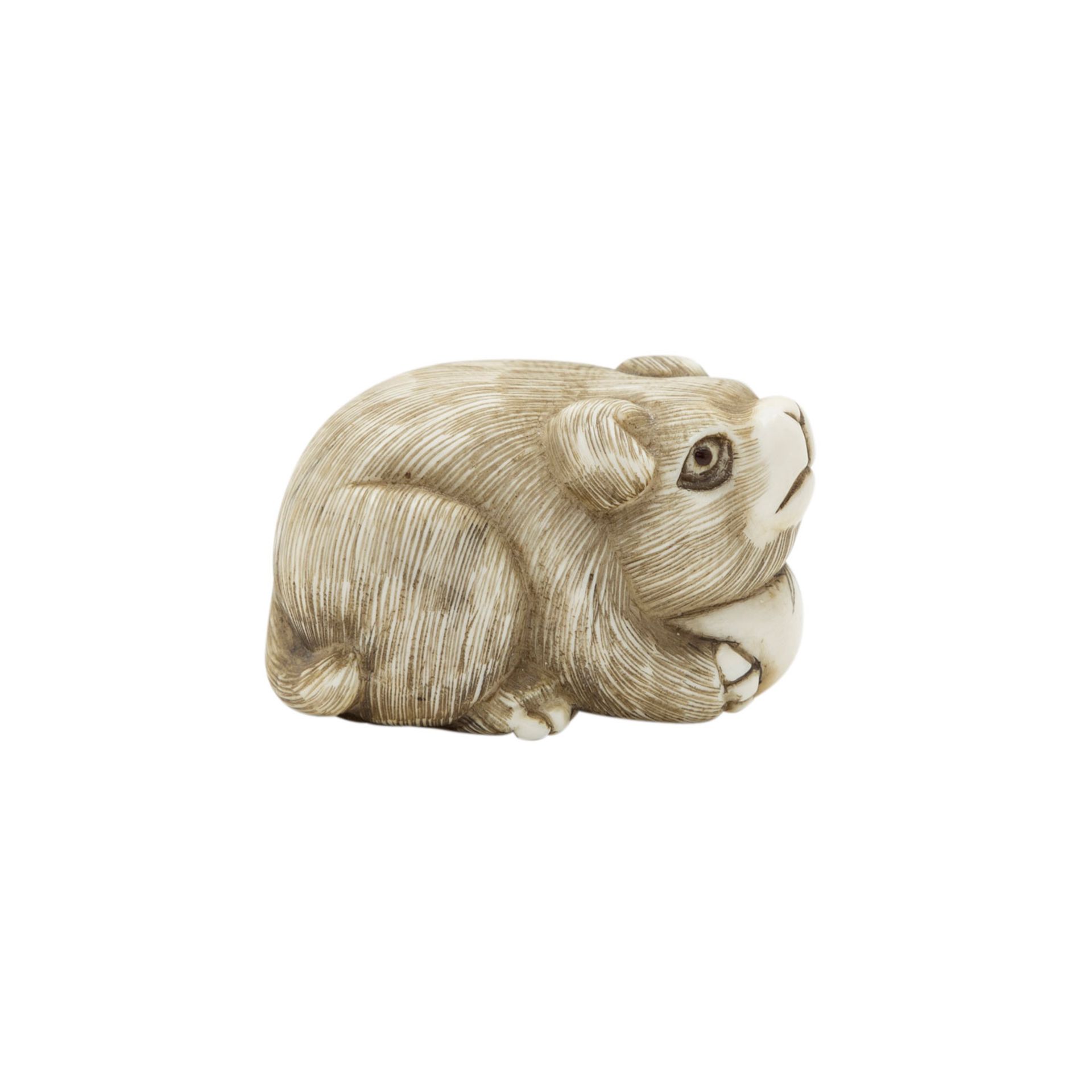 Netsuke eines Welpen aus Elfenbein. JAPAN, Meiji-Zeit (1868-1912).Der kleine Hund stützt seinen Kopf - Image 5 of 5