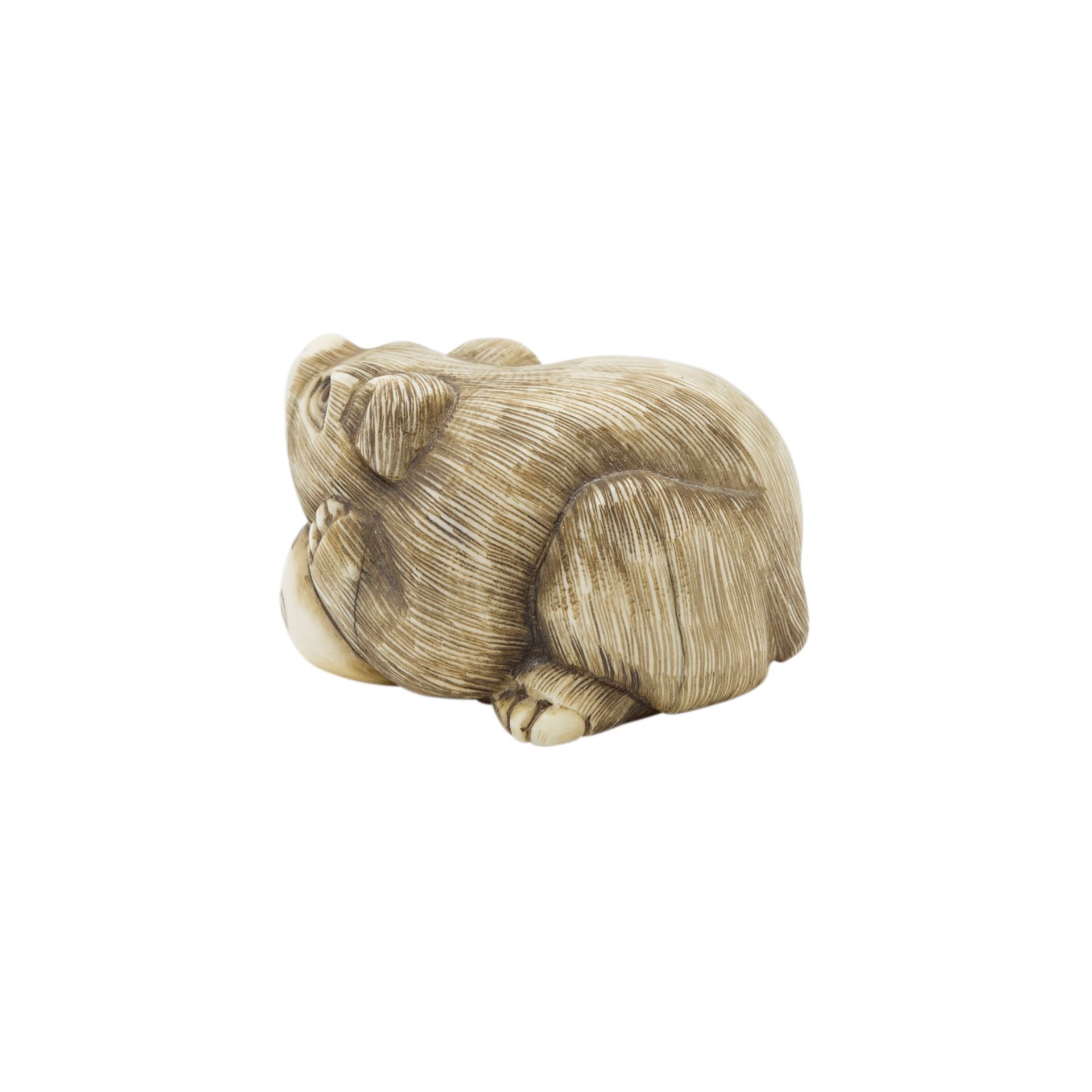 Netsuke eines Welpen aus Elfenbein. JAPAN, Meiji-Zeit (1868-1912).Der kleine Hund stützt seinen Kopf - Image 3 of 5