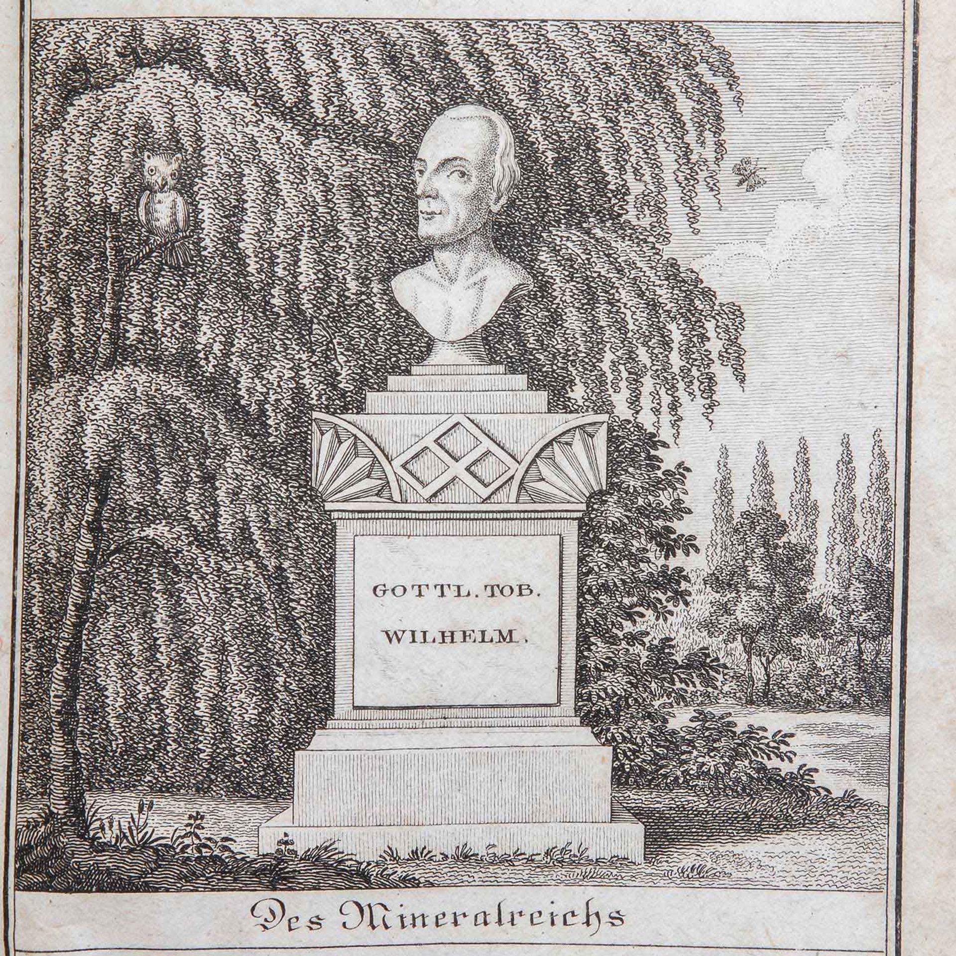 Unterhaltungen aus der Naturgeschichte, 18./19.Jh. -Gottlieb Wilhelm, "Unterhaltungen aus der - Bild 4 aus 4