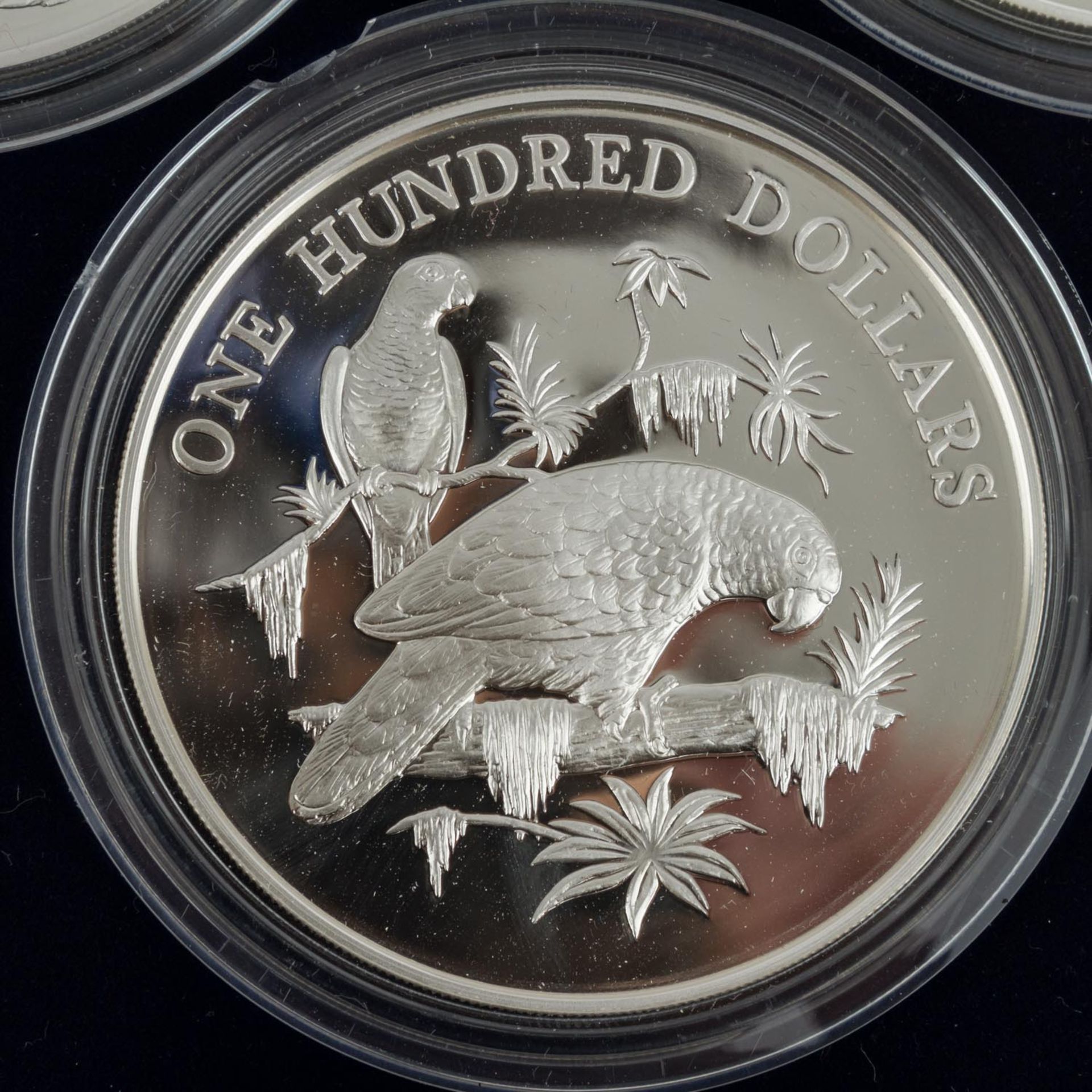 Vögel der Karibik - Wundervolle Sammlung von 7schwergewichtigen Silbermünzen je 5 Unzen Sterling - Bild 5 aus 7