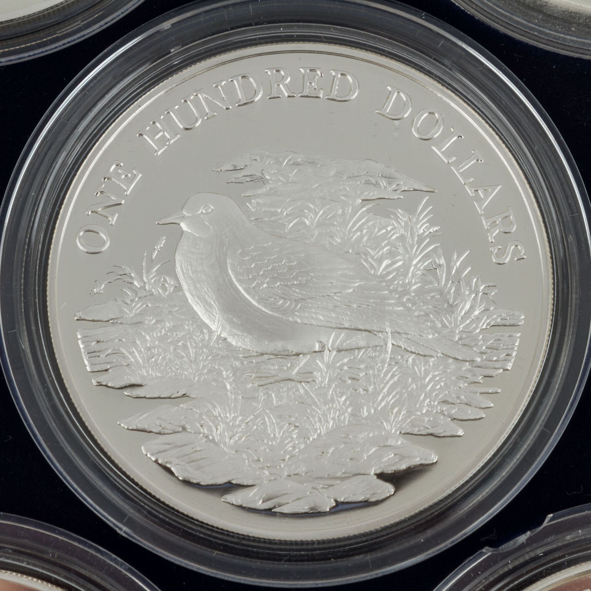 Vögel der Karibik - Wundervolle Sammlung von 7schwergewichtigen Silbermünzen je 5 Unzen Sterling - Bild 4 aus 7