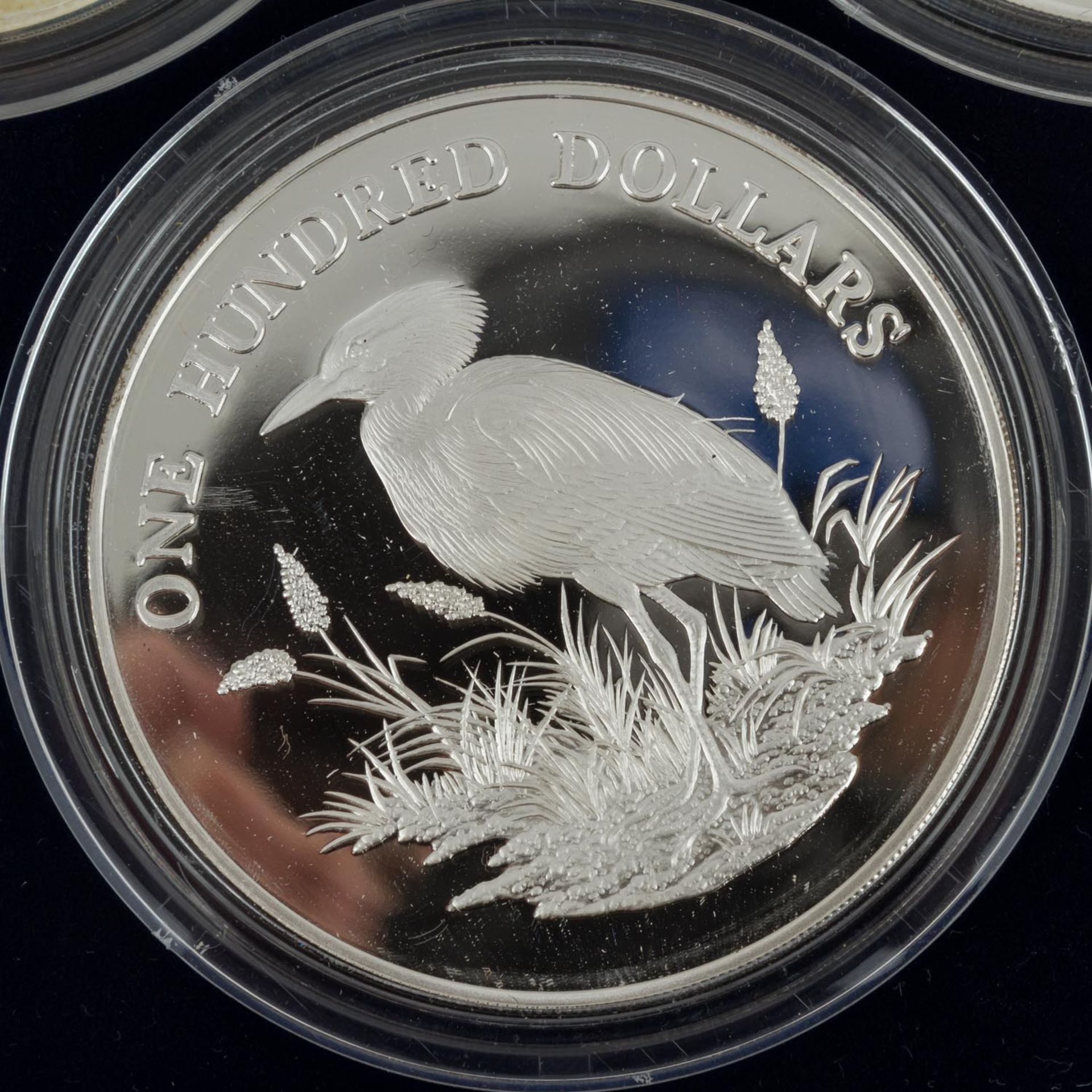 Vögel der Karibik - Wundervolle Sammlung von 7schwergewichtigen Silbermünzen je 5 Unzen Sterling - Bild 6 aus 7