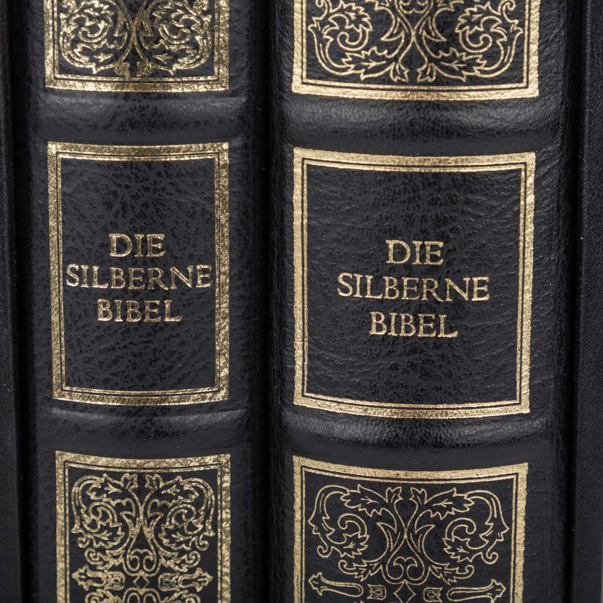 DIE SILBERNE BIBEL, 2 Bände, Päpstliches Bibelinstitut,Altes und Neues Testament, mit 100 - Bild 2 aus 7