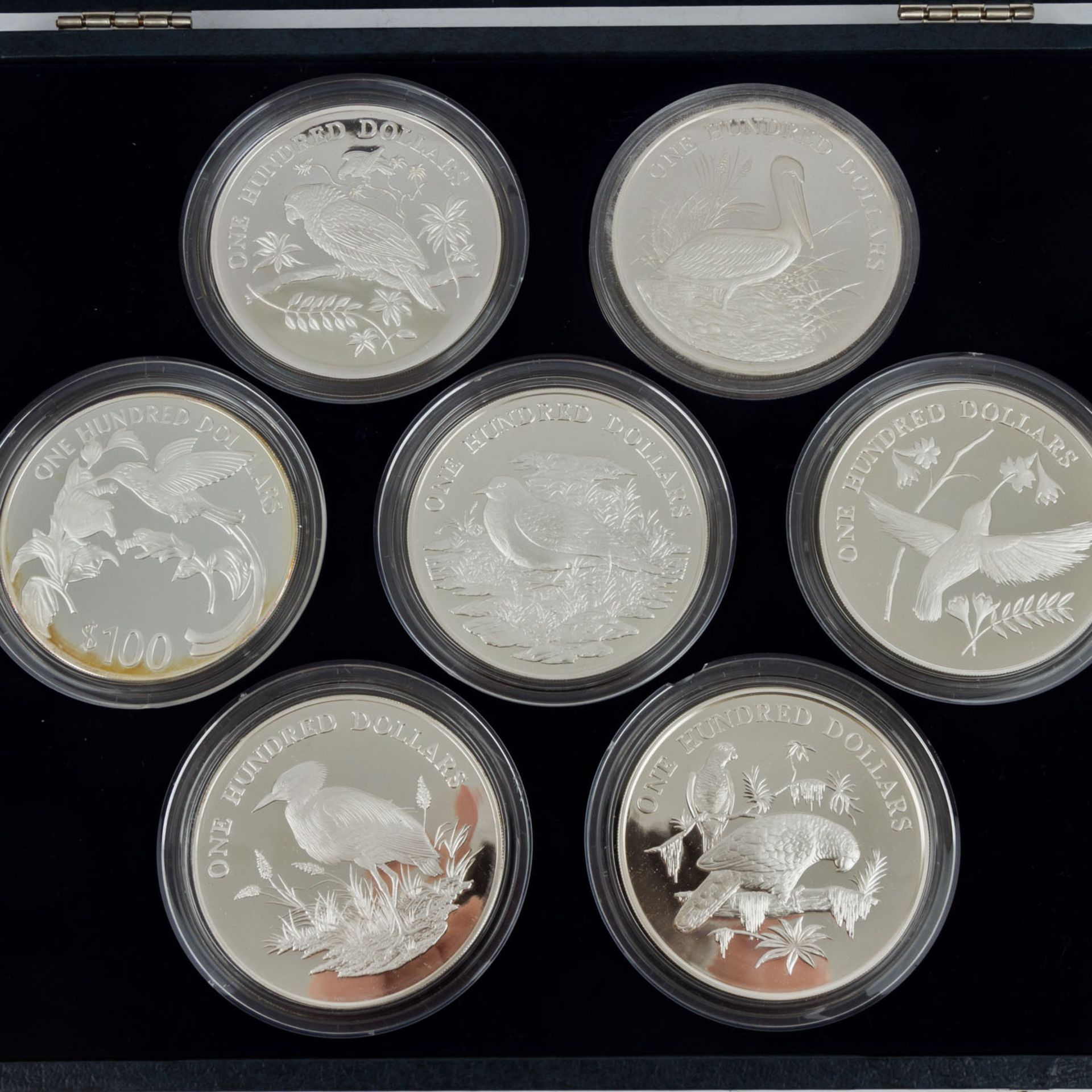 Vögel der Karibik - Wundervolle Sammlung von 7schwergewichtigen Silbermünzen je 5 Unzen Sterling - Bild 3 aus 7
