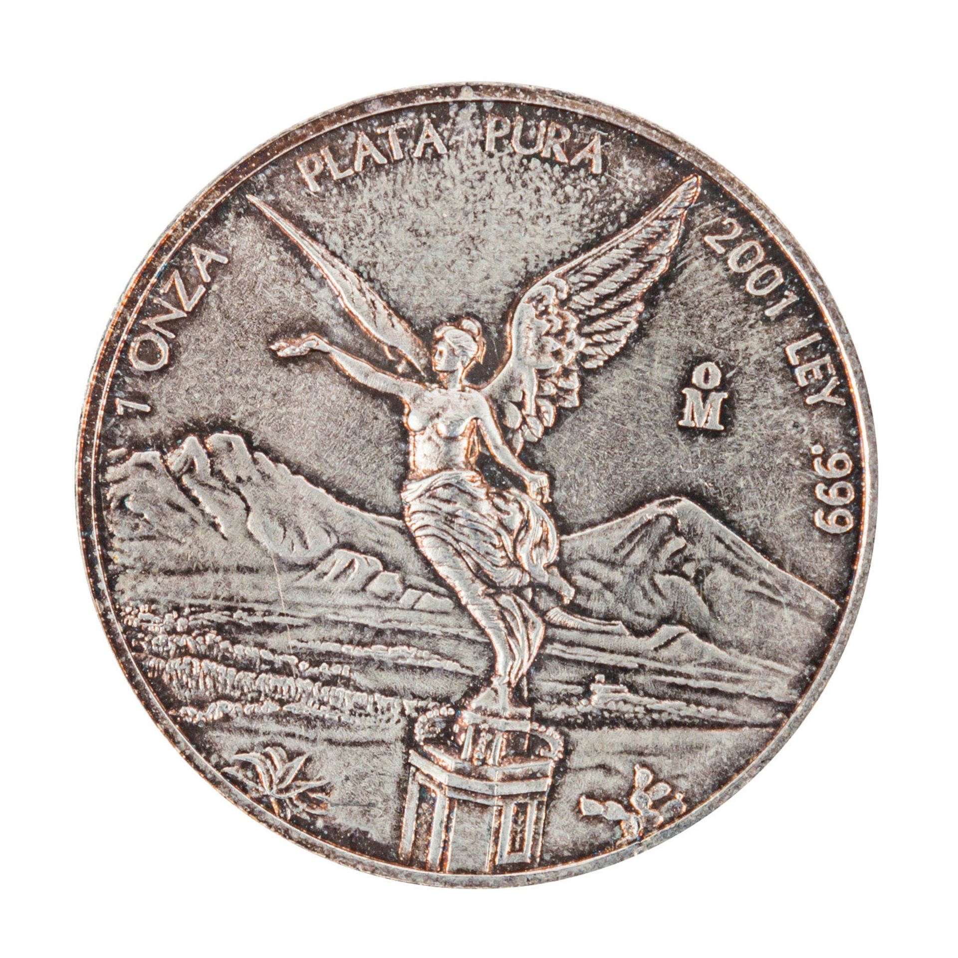 Konvolut mit 18 Silberunzen USA/Mexiko,Münzen Dt. Kaiserreich/III. Reich, USA, 54 x 10 DM, 2 x 10 - Bild 3 aus 9