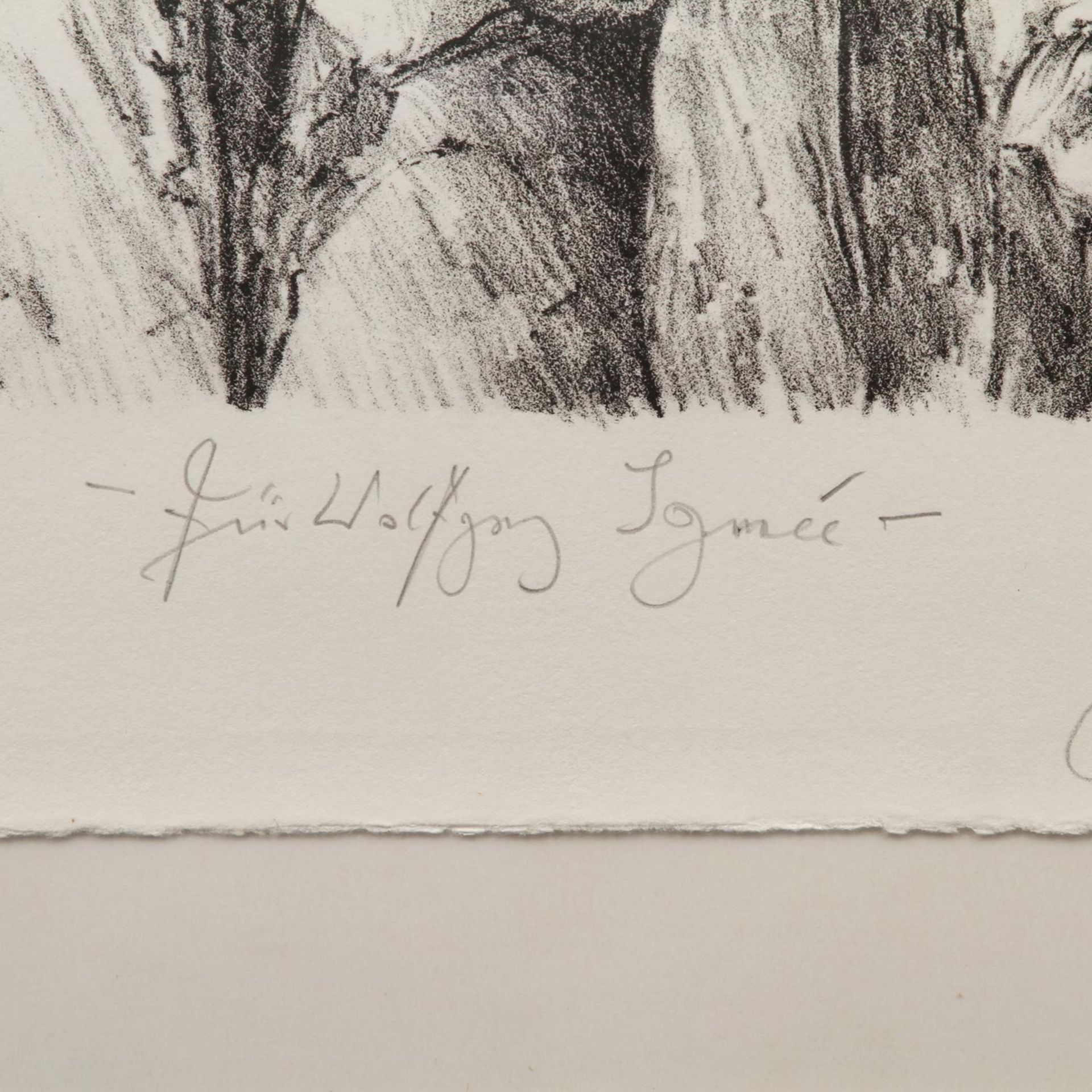 GRASS, GÜNTER (geb. 1927), "Ein weites Feld",Lithographie/Bütten, darunter mit Blst. von Hand - Bild 3 aus 6