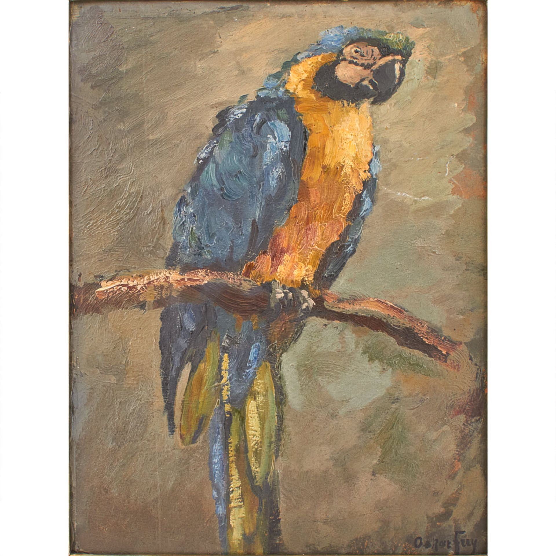 FREY, OSKAR (1883-1966) 'Blauer Ara I'.Blau-gelber Ara, auf einem dünnen Ast sitzend, Öl/ - Bild 2 aus 6