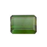 1 loser moosgrüner Turmalin ca. 15,3 ct(ca. 17x13 mm). Partiell minim. best.1 green tourmaline ca.