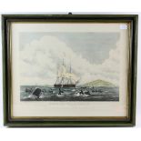 After W J Huggins â€˜South Sea Whale Fisheryâ€™ Lithograph with hand colouring after painting by