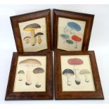 Set of Four 19th century French prints of Mushrooms, titled, Bolet Comestible, Agaric Fausse Oronge,