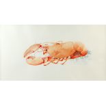 Watercolour of a Lobster monogrammed S C, dated 1989 32 x 52 cm.