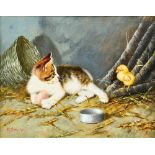 Eduardo Cerrone (Italian, 1935-2011) kitten and chick, oil on board 18cm x 23cm .