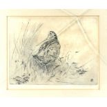 Winifred Austen (British, 1876-1964) Snipe amongst the reeds, etching 15cm x 20cm and Cedric Hodgson