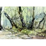 Dennis Hill, watercolour landscape, signed 23cmx 33cm .
