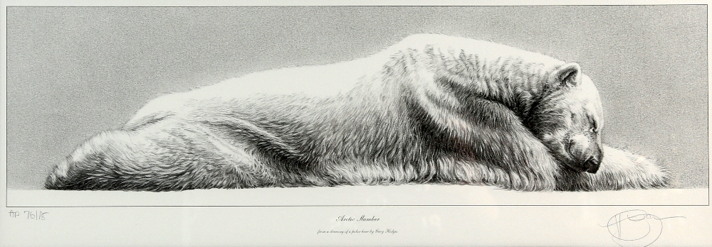 Gary Hodges, (British, b. 1954), limited edition print of a Polar bear 'Artic Slumber' signed in