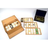 Collection of microscope slides, in a fitted cedar case and a small black case,.