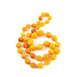 Amber necklace, forty one graduated beads, largest bead 2.5 x 2.2cm, strung with knots, 100cm in