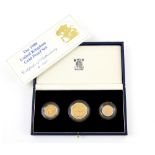 Royal Mint, 1988 United Kingdom gold proof coin set, comprising £2, sovereign and half sovereign,