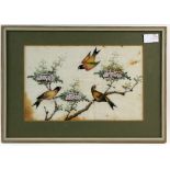 Four Chinese Pith or Rice Paper pictures depicting birds and Natural History, Qing Dynasty; each one