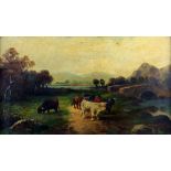 D Mckay, Highland cattle in a mountainous landscape, oil on canvas, signed, 37cm x 62cm.