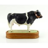 Royal Worcester porcelain Friesian Bull modelled by Doris Lindner 1964 with a wooden plinth 16cm x
